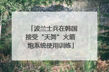 波兰士兵在韩国接受“天舞”火箭炮系统使用训练