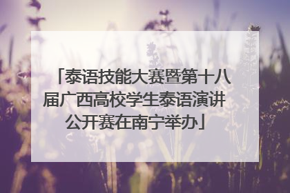 泰语技能大赛暨第十八届广西高校学生泰语演讲公开赛在南宁举办