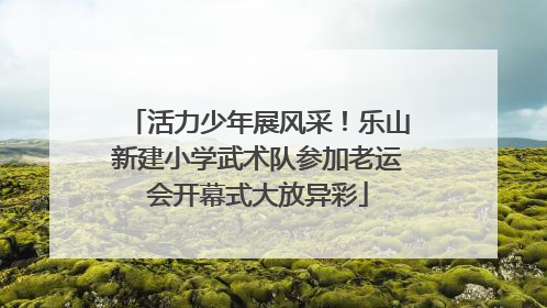 活力少年展风采！乐山新建小学武术队参加老运会开幕式大放异彩