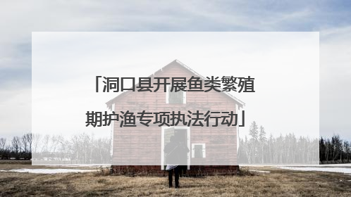 洞口县开展鱼类繁殖期护渔专项执法行动