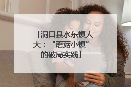 洞口县水东镇人大：“蘑菇小镇”的破局实践