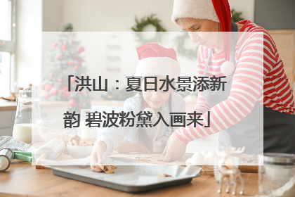 洪山：夏日水景添新韵 碧波粉黛入画来
