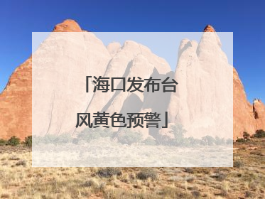 海口发布台风黄色预警