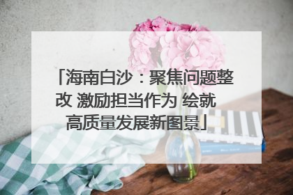 海南白沙：聚焦问题整改 激励担当作为 绘就高质量发展新图景