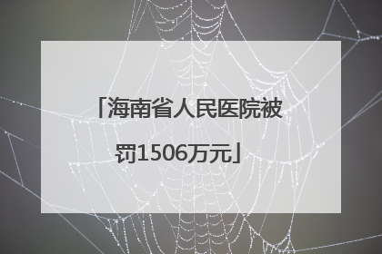 海南省人民医院被罚1506万元