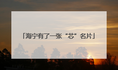 海宁有了一张“芯”名片