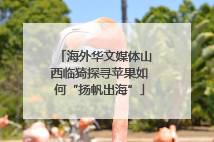 海外华文媒体山西临猗探寻苹果如何“扬帆出海”