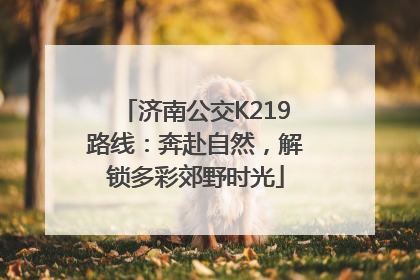 济南公交K219路线：奔赴自然，解锁多彩郊野时光