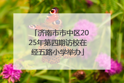 济南市市中区2025年第四期访校在经五路小学举办