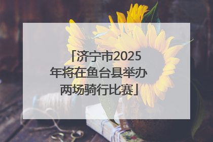 济宁市2025年将在鱼台县举办两场骑行比赛