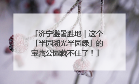 济宁避暑胜地｜这个「半园湖光半园绿」的宝藏公园藏不住了！