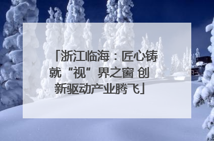 浙江临海：匠心铸就“视”界之窗 创新驱动产业腾飞