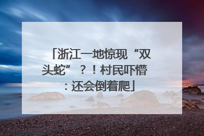 浙江一地惊现“双头蛇”？！村民吓懵：还会倒着爬