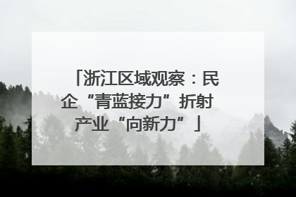 浙江区域观察：民企“青蓝接力”折射产业“向新力”