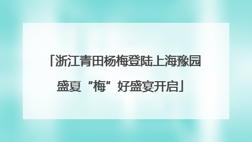 浙江青田杨梅登陆上海豫园 盛夏“梅”好盛宴开启