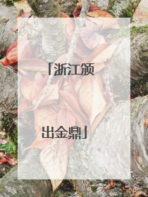 浙江颁出金鼎