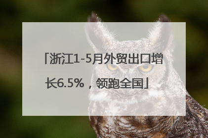 浙江1-5月外贸出口增长6.5%，领跑全国