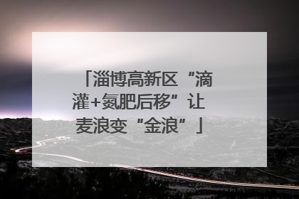 淄博高新区“滴灌+氮肥后移”让麦浪变“金浪”