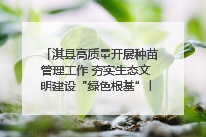 淇县高质量开展种苗管理工作 夯实生态文明建设“绿色根基”