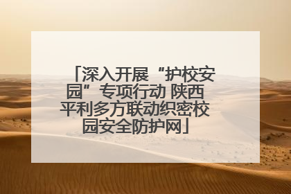 深入开展“护校安园”专项行动 陕西平利多方联动织密校园安全防护网