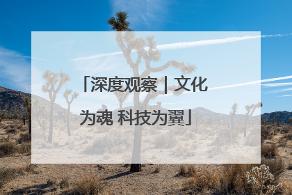 深度观察｜文化为魂 科技为翼