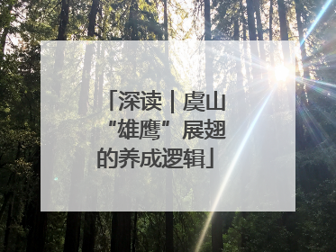 深读｜虞山“雄鹰”展翅的养成逻辑