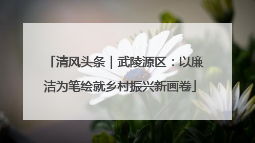 清风头条｜武陵源区：以廉洁为笔绘就乡村振兴新画卷