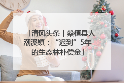 清风头条｜桑植县人潮溪镇：“迟到”5年的生态林补偿金