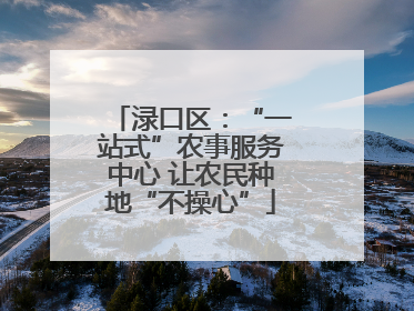 渌口区：“一站式”农事服务中心 让农民种地“不操心”