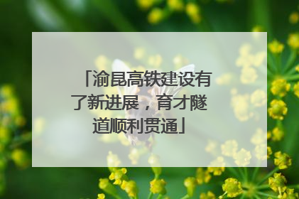 渝昆高铁建设有了新进展，育才隧道顺利贯通