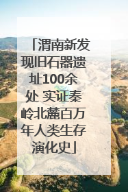 渭南新发现旧石器遗址100余处 实证秦岭北麓百万年人类生存演化史