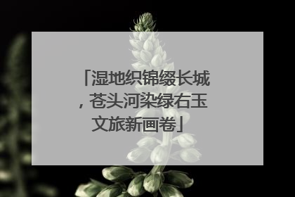 湿地织锦缀长城，苍头河染绿右玉文旅新画卷