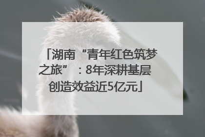 湖南“青年红色筑梦之旅”：8年深耕基层创造效益近5亿元