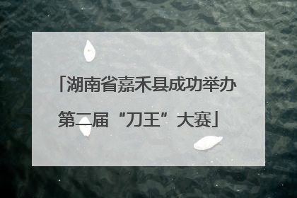 湖南省嘉禾县成功举办第二届“刀王”大赛