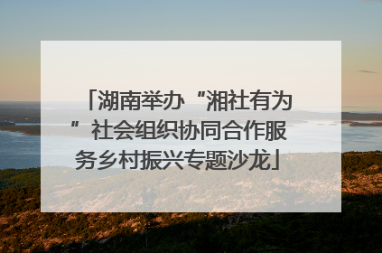 湖南举办“湘社有为”社会组织协同合作服务乡村振兴专题沙龙