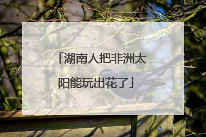 湖南人把非洲太阳能玩出花了