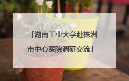 湖南工业大学赴株洲市中心医院调研交流
