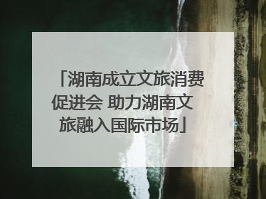 湖南成立文旅消费促进会 助力湖南文旅融入国际市场