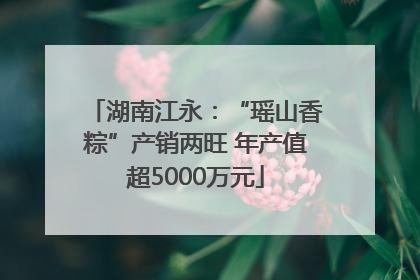 湖南江永：“瑶山香粽”产销两旺 年产值超5000万元