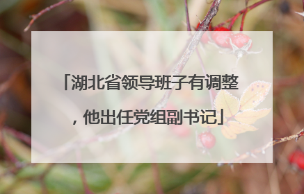 湖北省领导班子有调整，他出任党组副书记