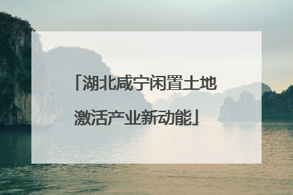 湖北咸宁闲置土地激活产业新动能