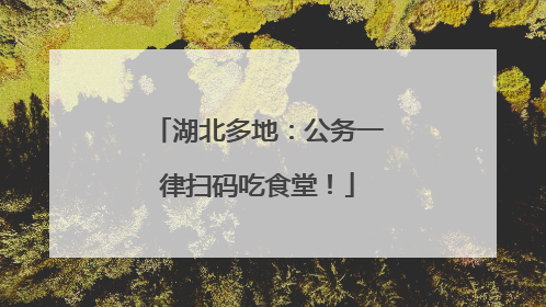 湖北多地：公务一律扫码吃食堂！