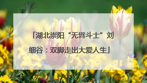 湖北崇阳“无臂斗士”刘细谷：双脚走出大爱人生