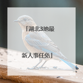 湖北3地最新人事任免