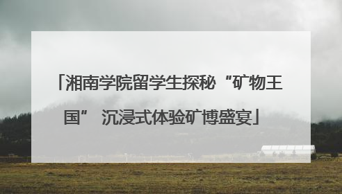 湘南学院留学生探秘“矿物王国” 沉浸式体验矿博盛宴