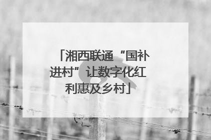 湘西联通“国补进村”让数字化红利惠及乡村