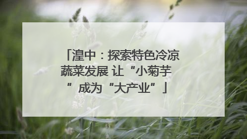 湟中：探索特色冷凉蔬菜发展 让“小菊芋”成为“大产业”