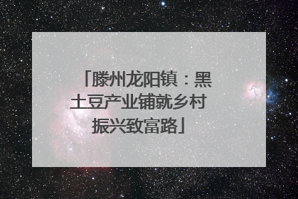 滕州龙阳镇：黑土豆产业铺就乡村振兴致富路