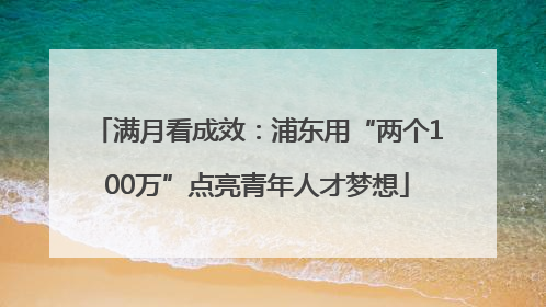 满月看成效：浦东用“两个100万”点亮青年人才梦想