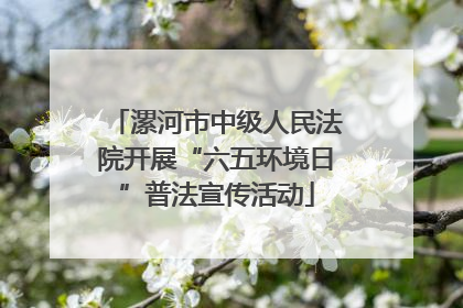 漯河市中级人民法院开展“六五环境日”普法宣传活动